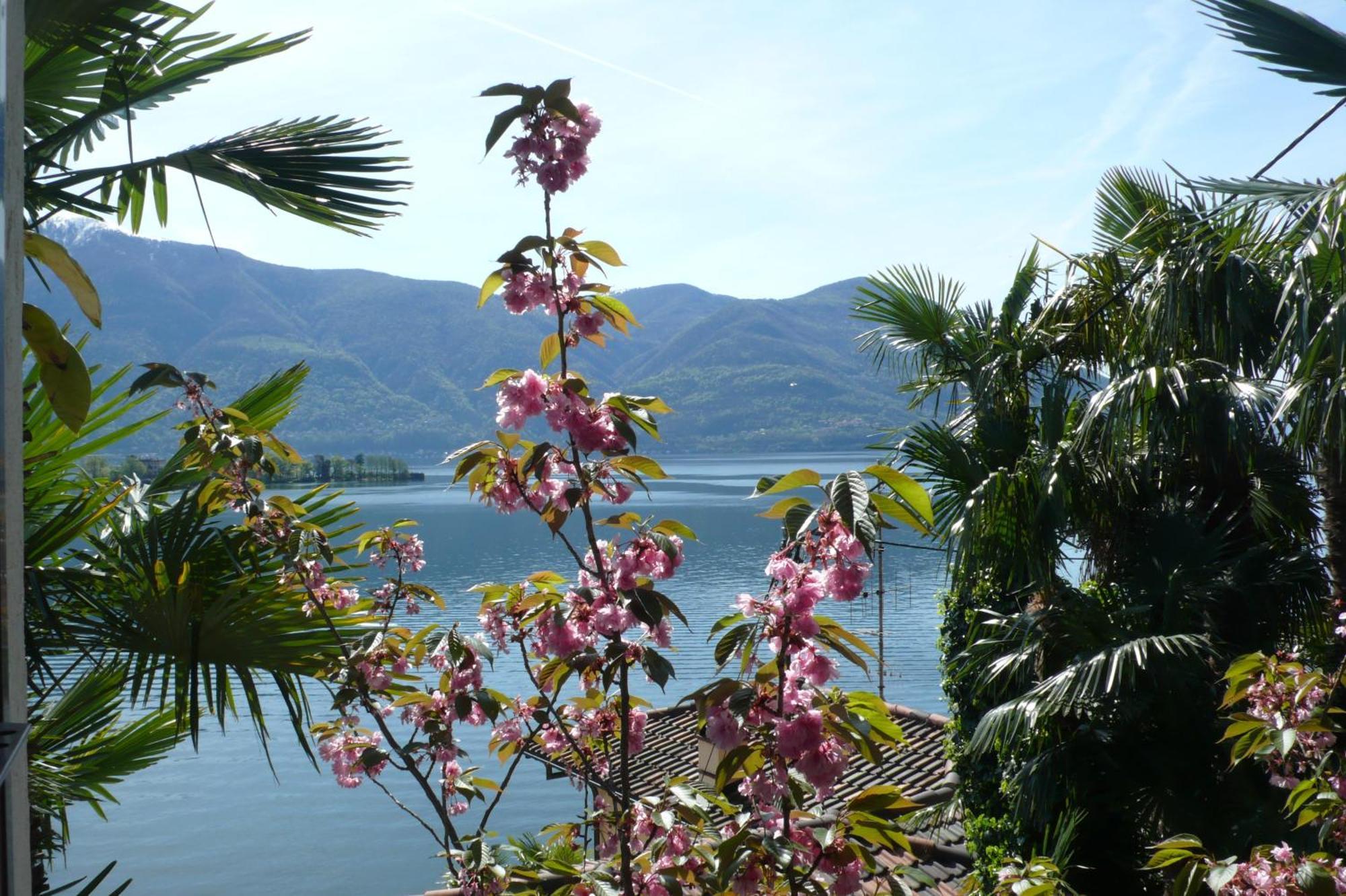 Residenza Bettina Bnb & Ferienwohnungen Ronco sopra Ascona Exterior photo